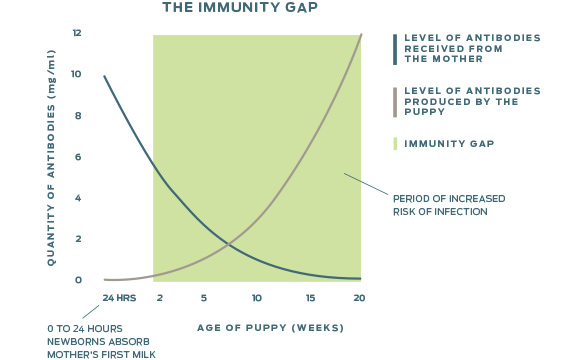 Immunity Gap Graph